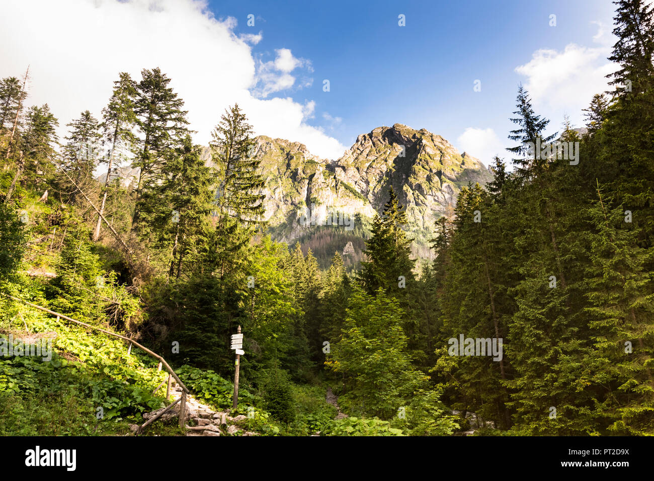 Poland, High Tatra Mountains, Tatra, Tatra National Park, View to Rysy Stock Photo