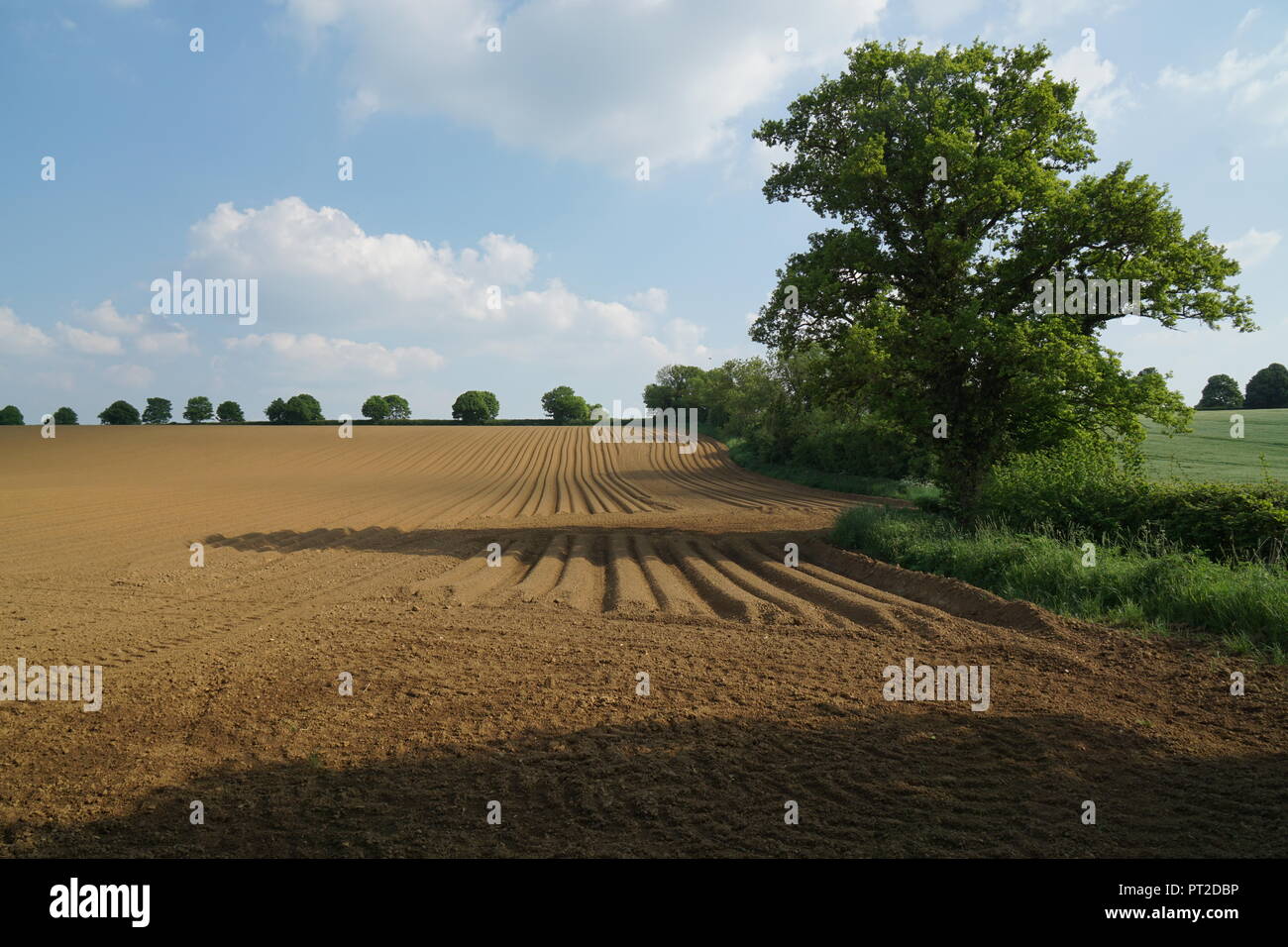 Tilled soil hires stock photography and images Alamy