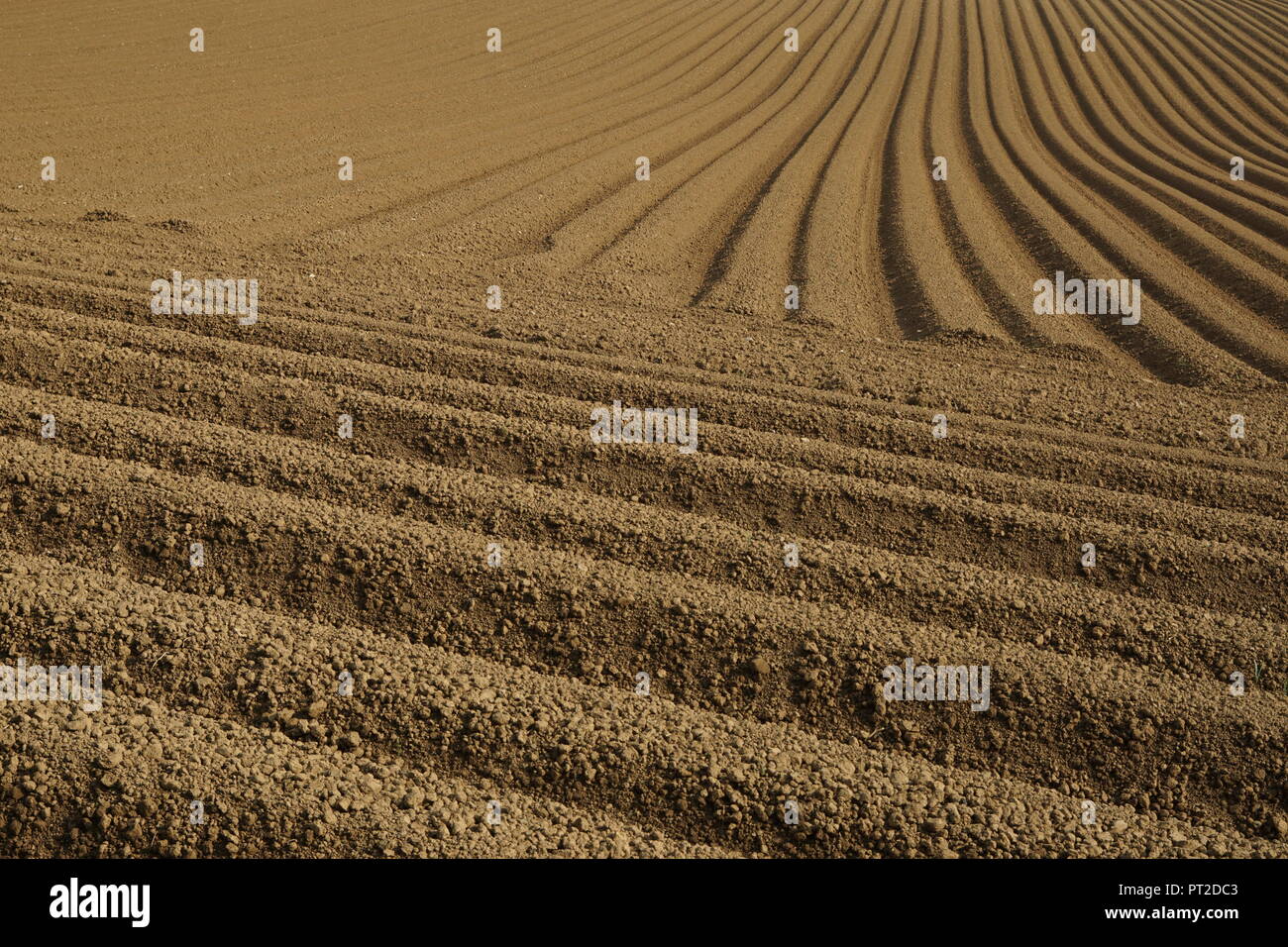 Tilled soil hires stock photography and images Alamy