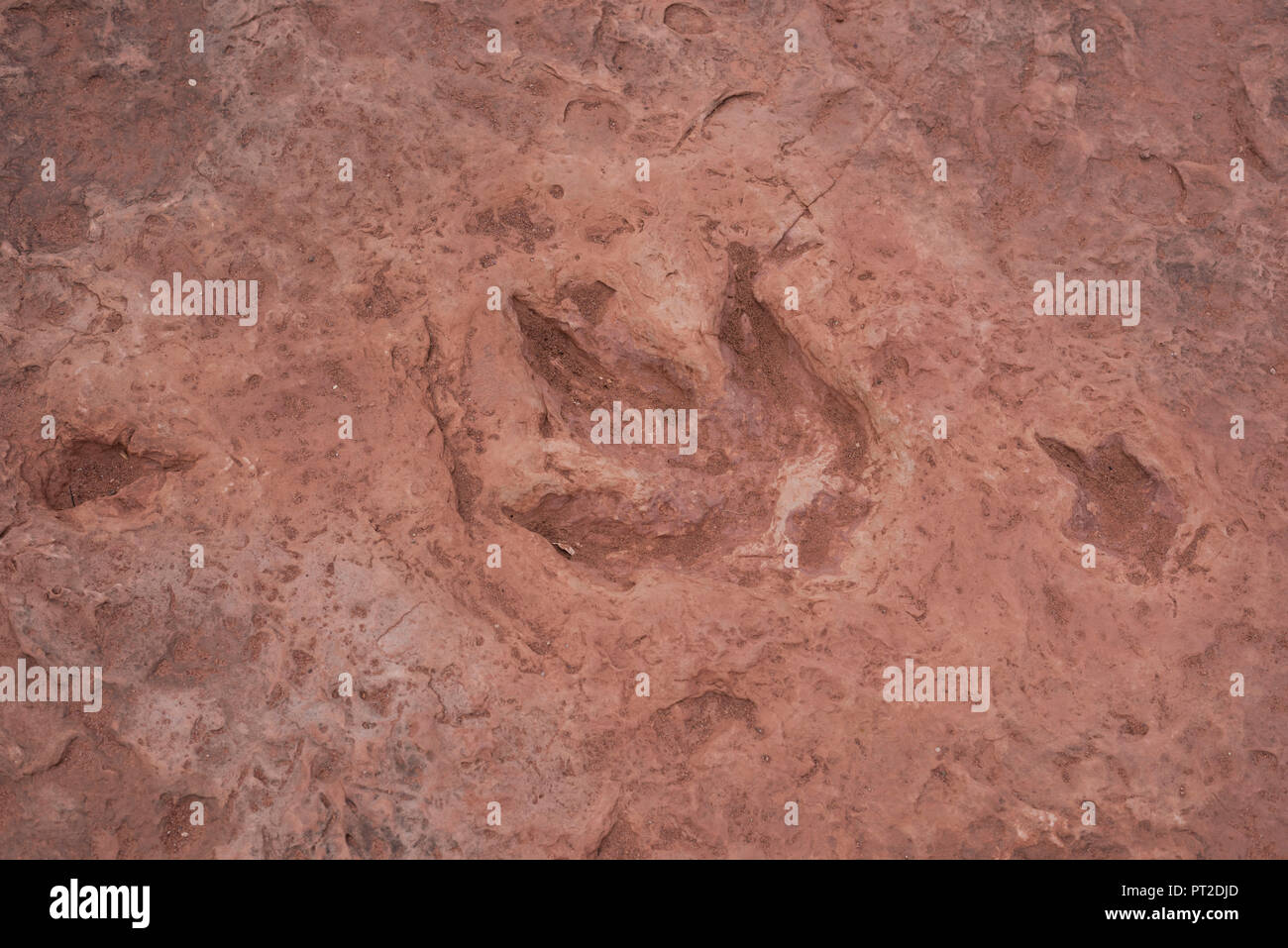 USA, Southwest, Arizona, Dinosaur tracks, Tuba City Stock Photo Alamy