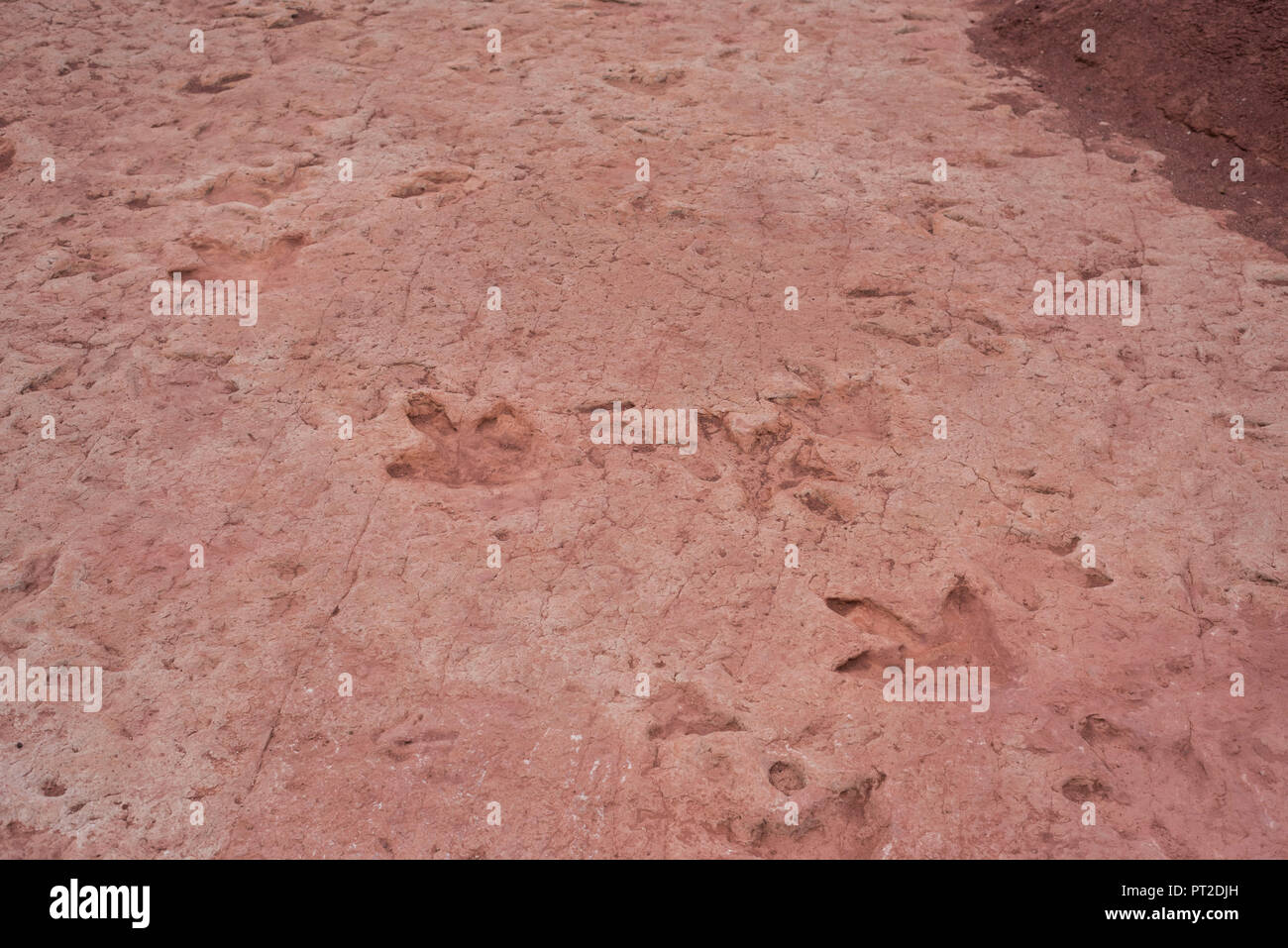 USA, Southwest, Arizona, Dinosaur tracks, Tuba City Stock Photo Alamy