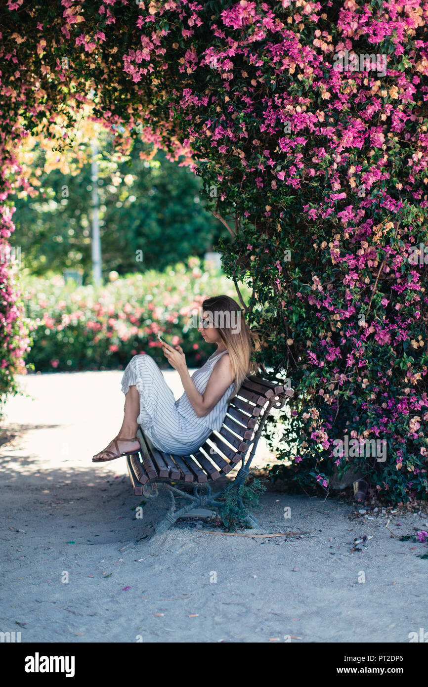 Woman with cell phone sitting on bench in park under pink blossoms Stock Photo