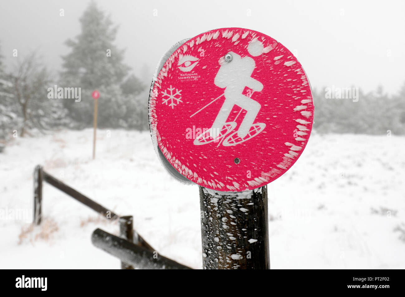 Snowy sign at the Schliffkopf, Black Forest National Park, Northern Black Forest, Black Forest High Road, Baden-Wuerttemberg, Germany Stock Photo