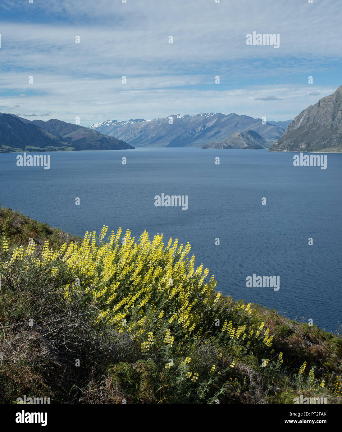 New Zealand, Commonwealth, Queenstown, Lake Wakatipu Stock Photo