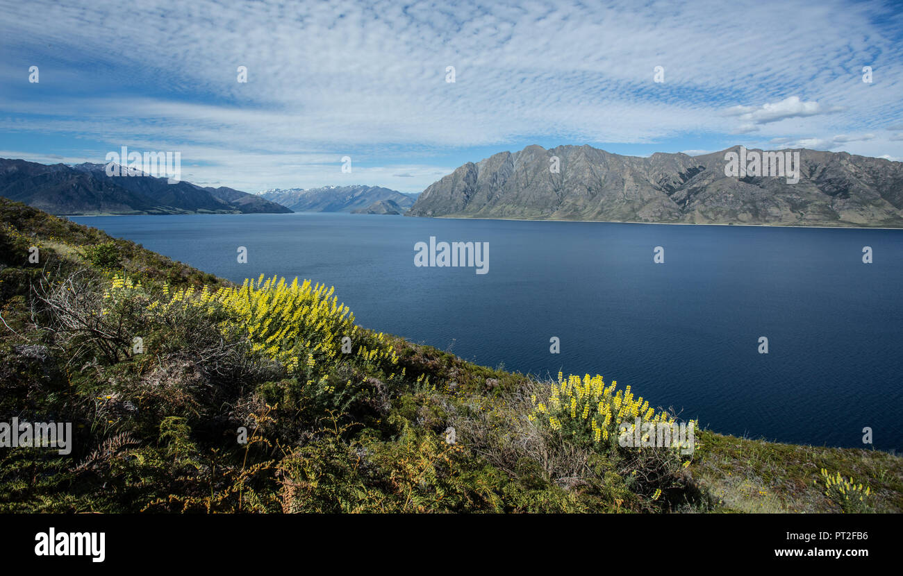 New Zealand, Commonwealth, Queenstown, Lake Wakatipu, Stock Photo