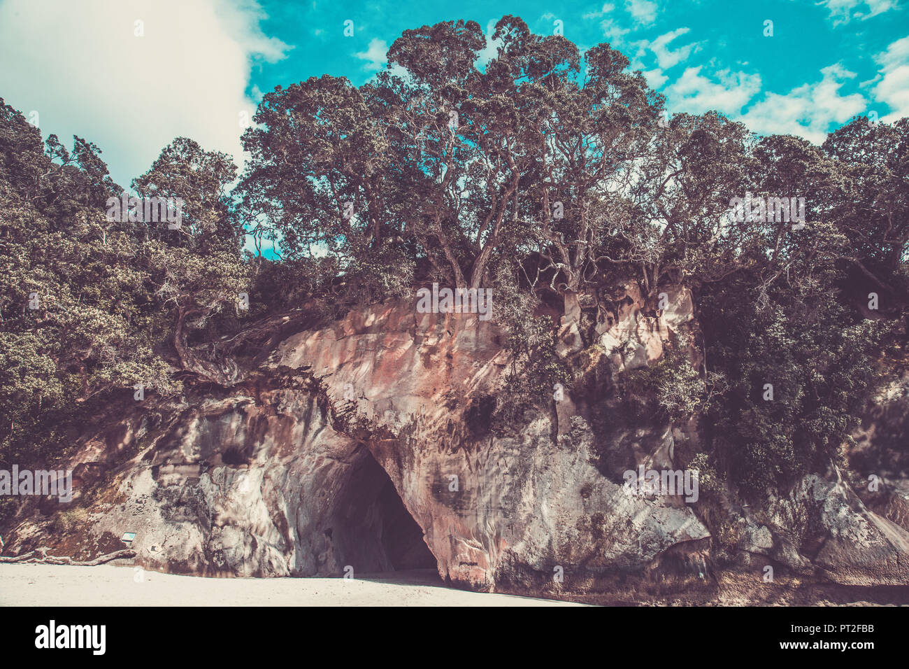New Zealand, beach of Cathedral Cove Stock Photo