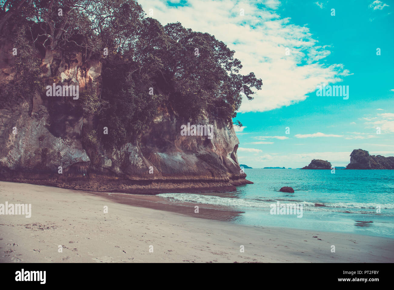 New Zealand, beach of Cathedral Cove Stock Photo
