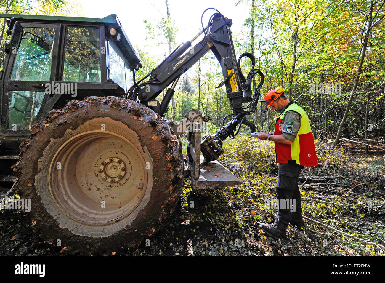 Forester inspecting a skidder, timber transporter, in theforest Stock Photo