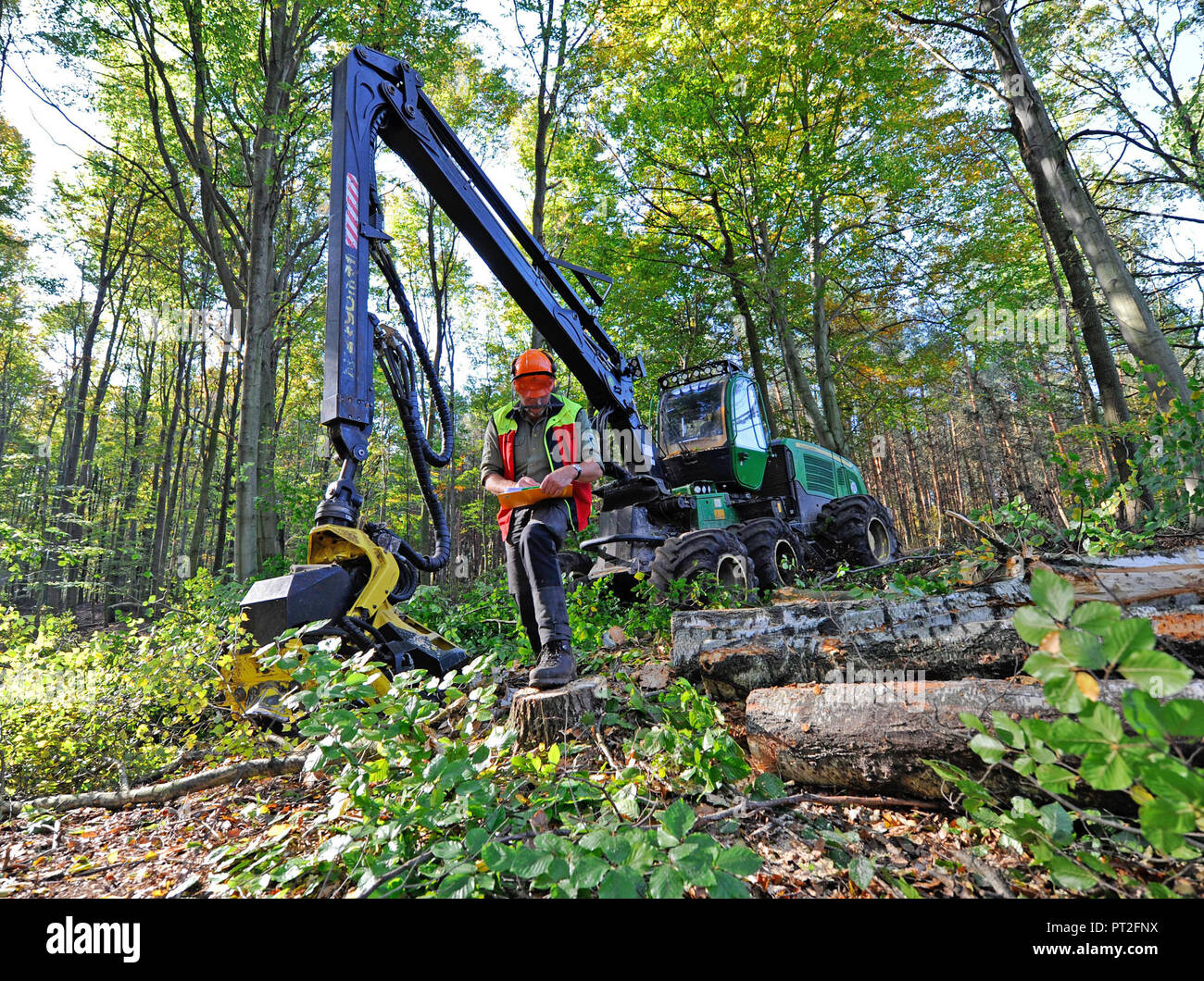 Forester inspecting a skidder, timber transporter, in theforest Stock Photo
