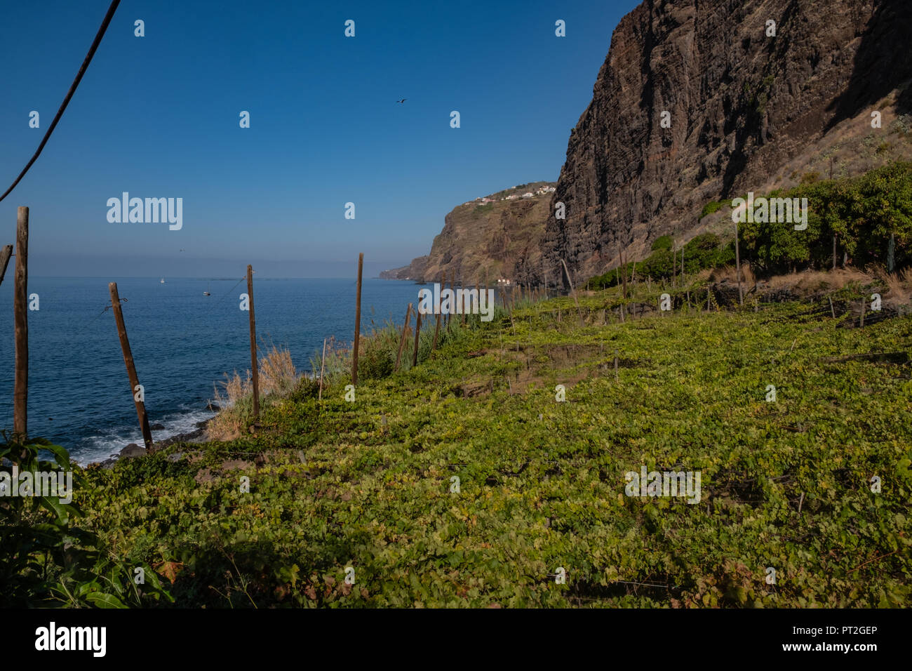 Faja dos Padres - 2018 - Madeira Island Stock Photo