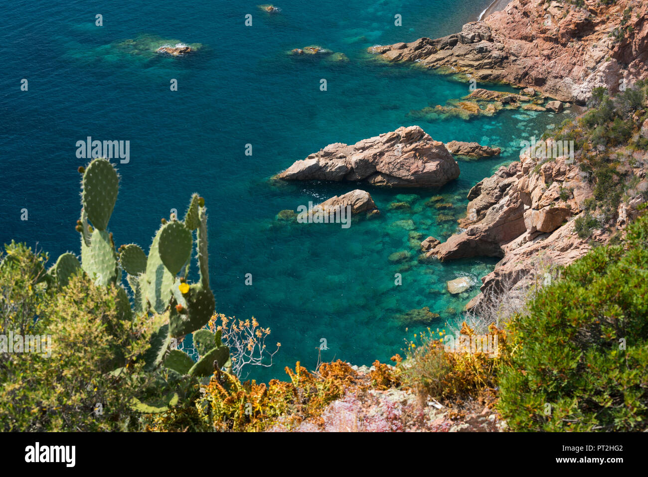 Coast of Bussaglia, Golfe di Porto, Corsica, France Stock Photo