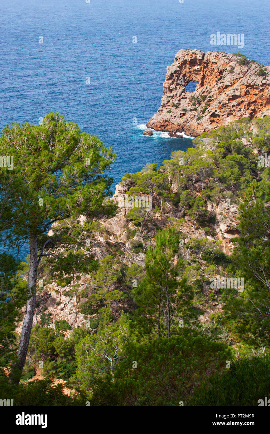 Spain, Balearic Islands, Mallorca, Deia, Sa Foradada peninsula, trail to Sa Foradada Stock Photo
