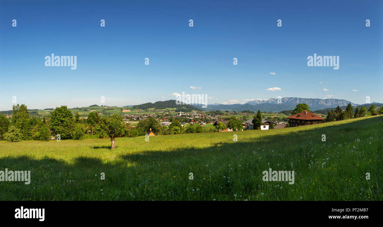 Austria, Upper Austria, Salzkammergut, Saint Georgen, View, Höllengebirge, Alpine foothills, Panorama, Stock Photo