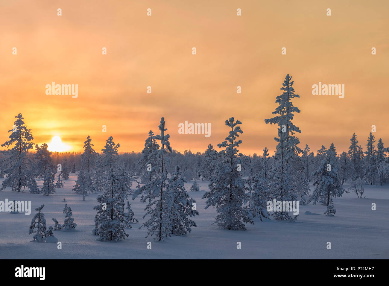 Sunrise on frozen forest covered with snow, Luosto, Sodankyla municipality, Lapland, Finland Stock Photo