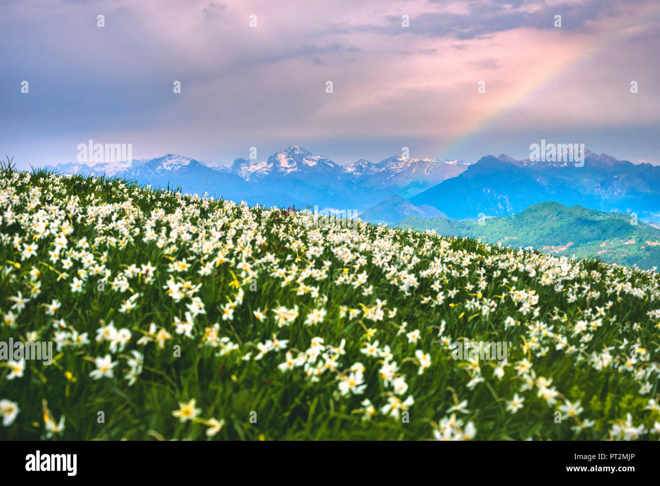 Mount Linzone, Orobie alps, Lombardy district, Bergamo province, Italy Stock Photo