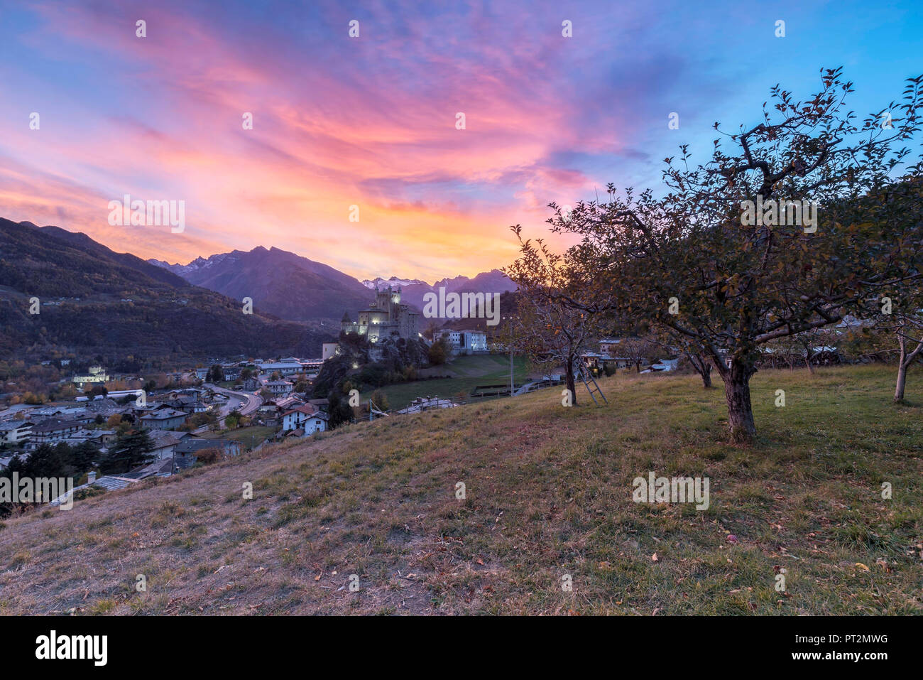 Colorful sunset among the apple orchard overlooking the Castle of Saint-Pierre, Aosta Valley, Italy Stock Photo