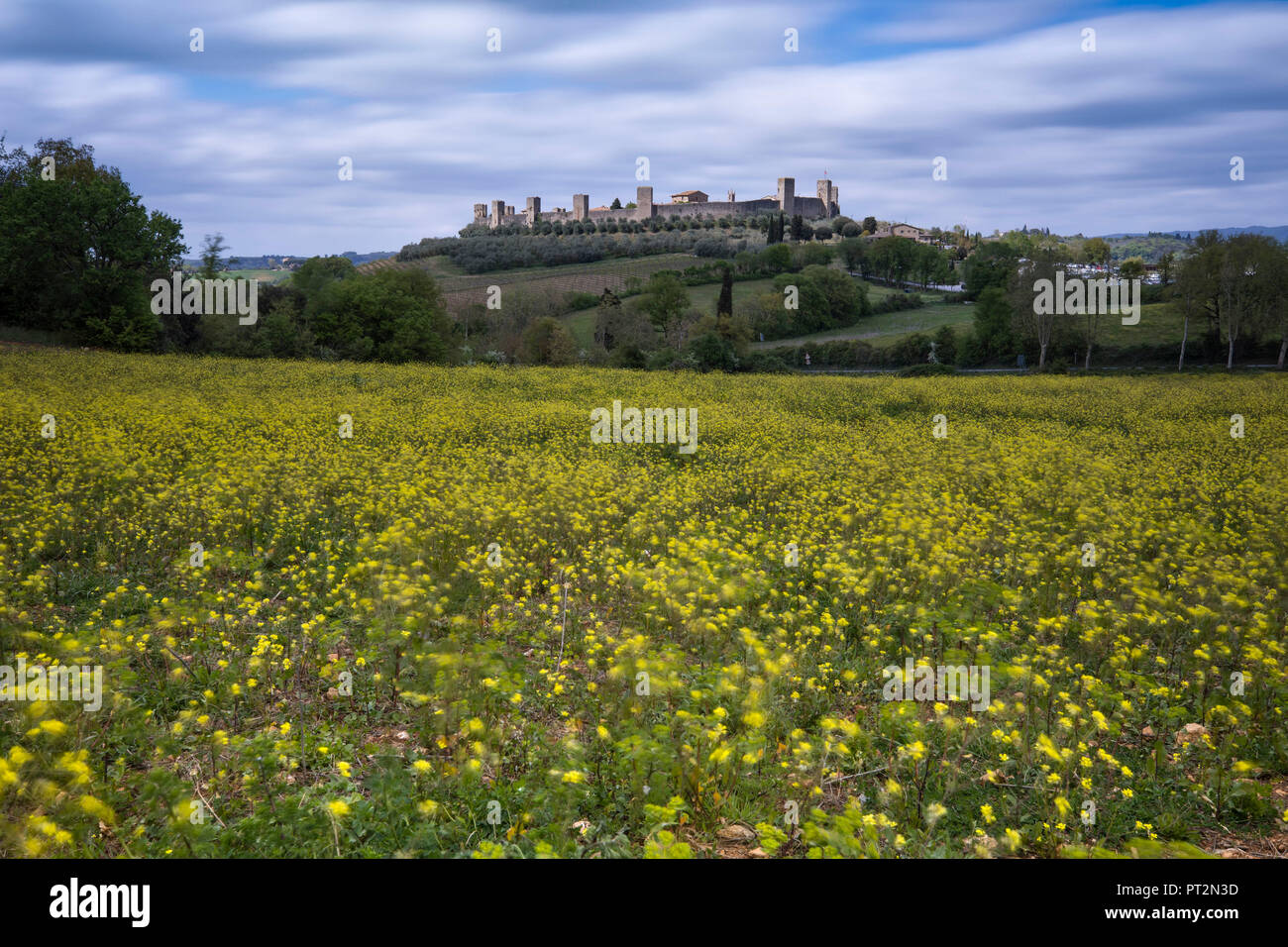 flowery field at Monteriggioni, Siena province, Tuscany, Italy, Europe Stock Photo