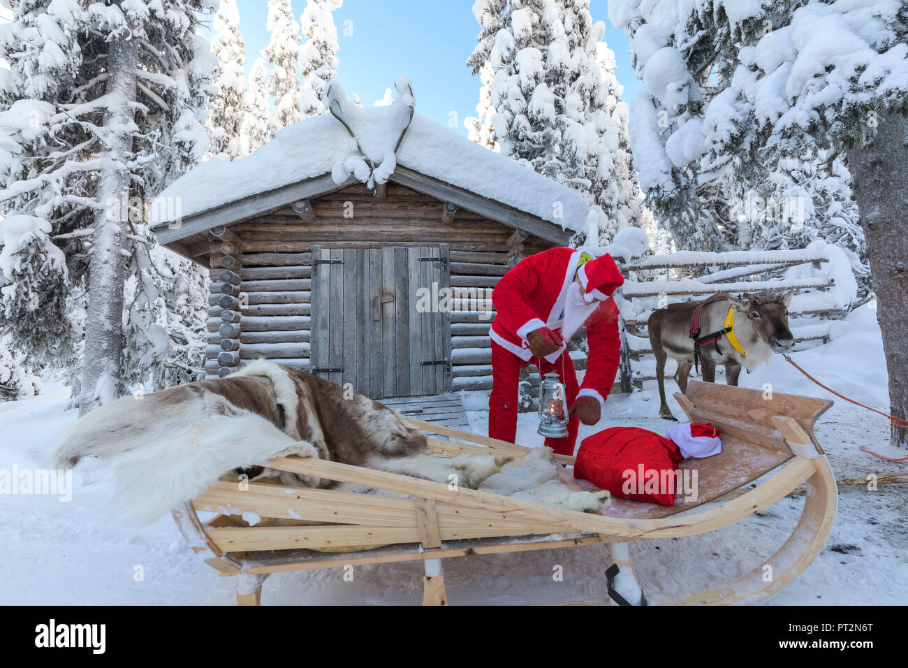 Santa Claus preparing the sleigh, Ruka (Kuusamo), Northern Ostrobothnia region, Lapland, Finland Stock Photo