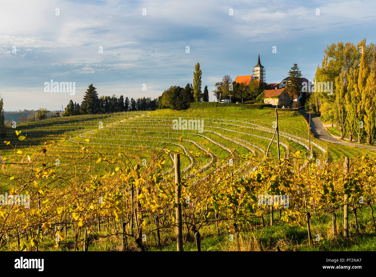 Jeruzalem village and its vineyards, Jeruzalem, Ljutomer, Mura region, Slovenia Stock Photo