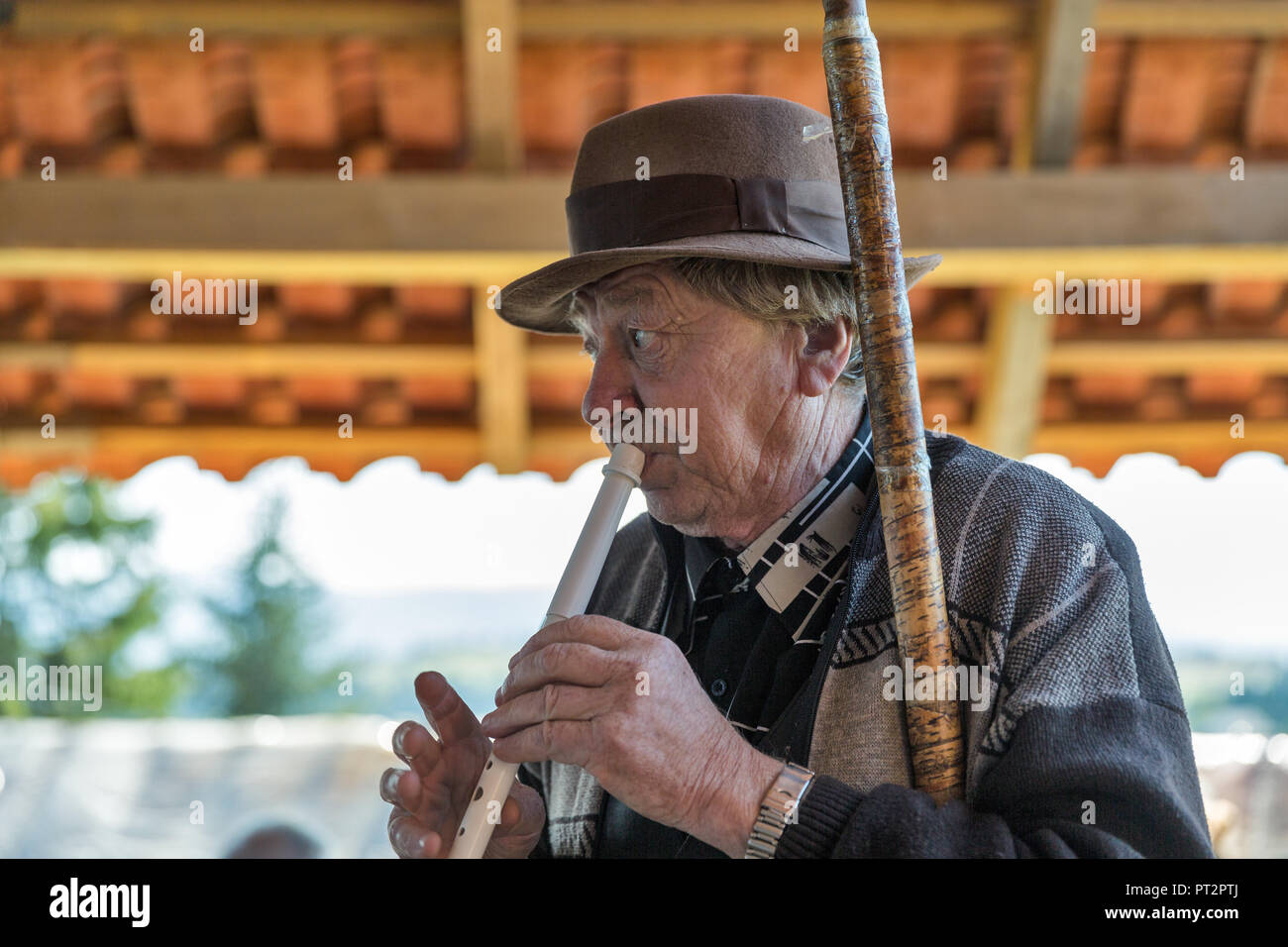 YABLUNYTSIA, UKRAINE - SEPTEMBER 12, 2018: Senior man folk musician plays music on the saw on mountain valley Peppers, place for rest and entertainmen Stock Photo