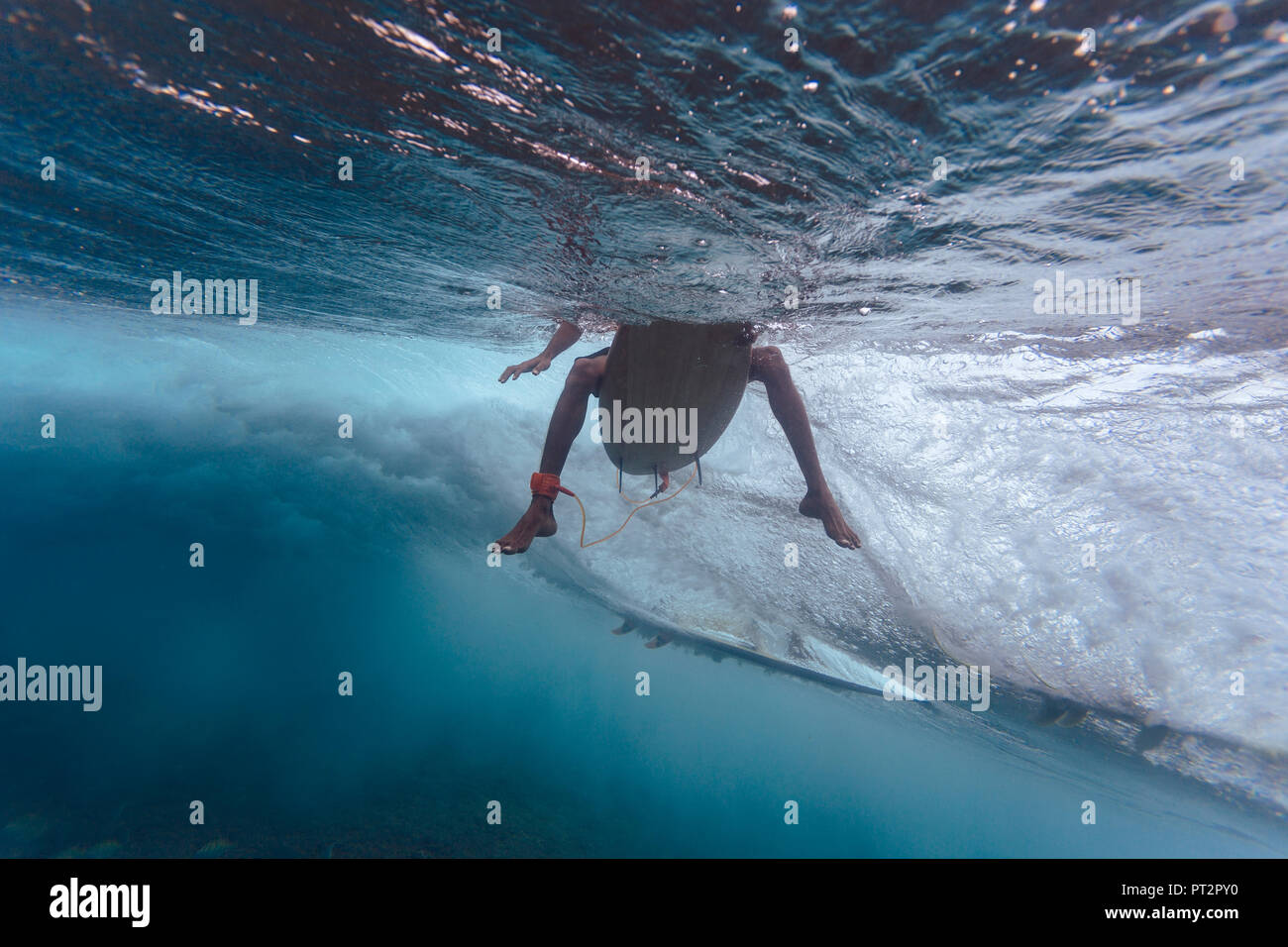 Maledives, Indian Ocean, surfer sitting on surfboard, underwater shot