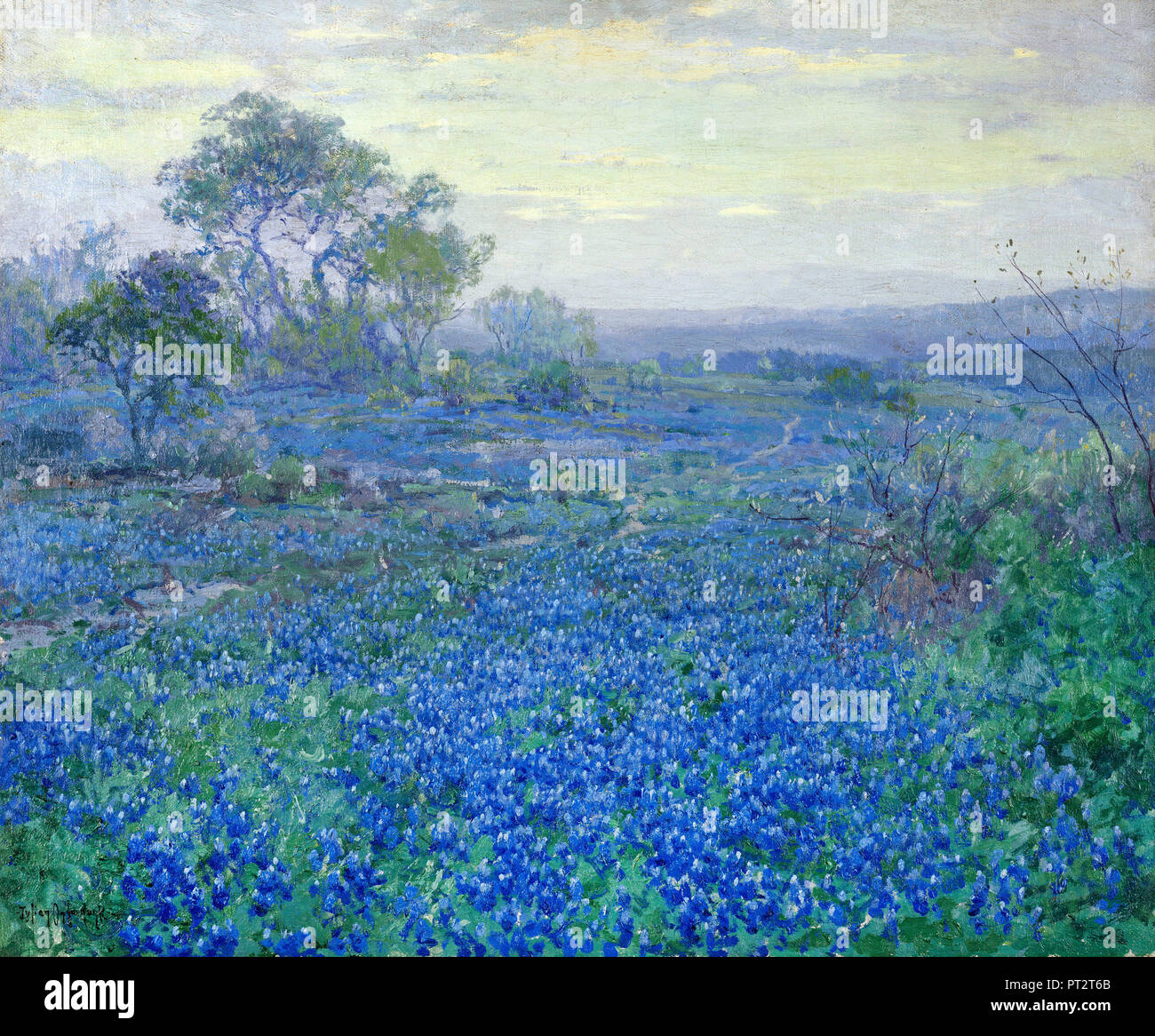 Julian Onderdonk, A Cloudy Day, Bluebonnets Near San Antonio, Texas, 1908 Oil on cardboard, Amon Carter Museum of American Art, Fort Worth, Texas, USA. Stock Photo