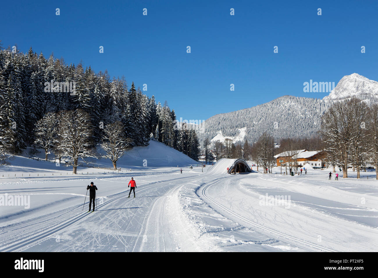 Austria, Styria, Ramsau am Dachstein, Stock Photo