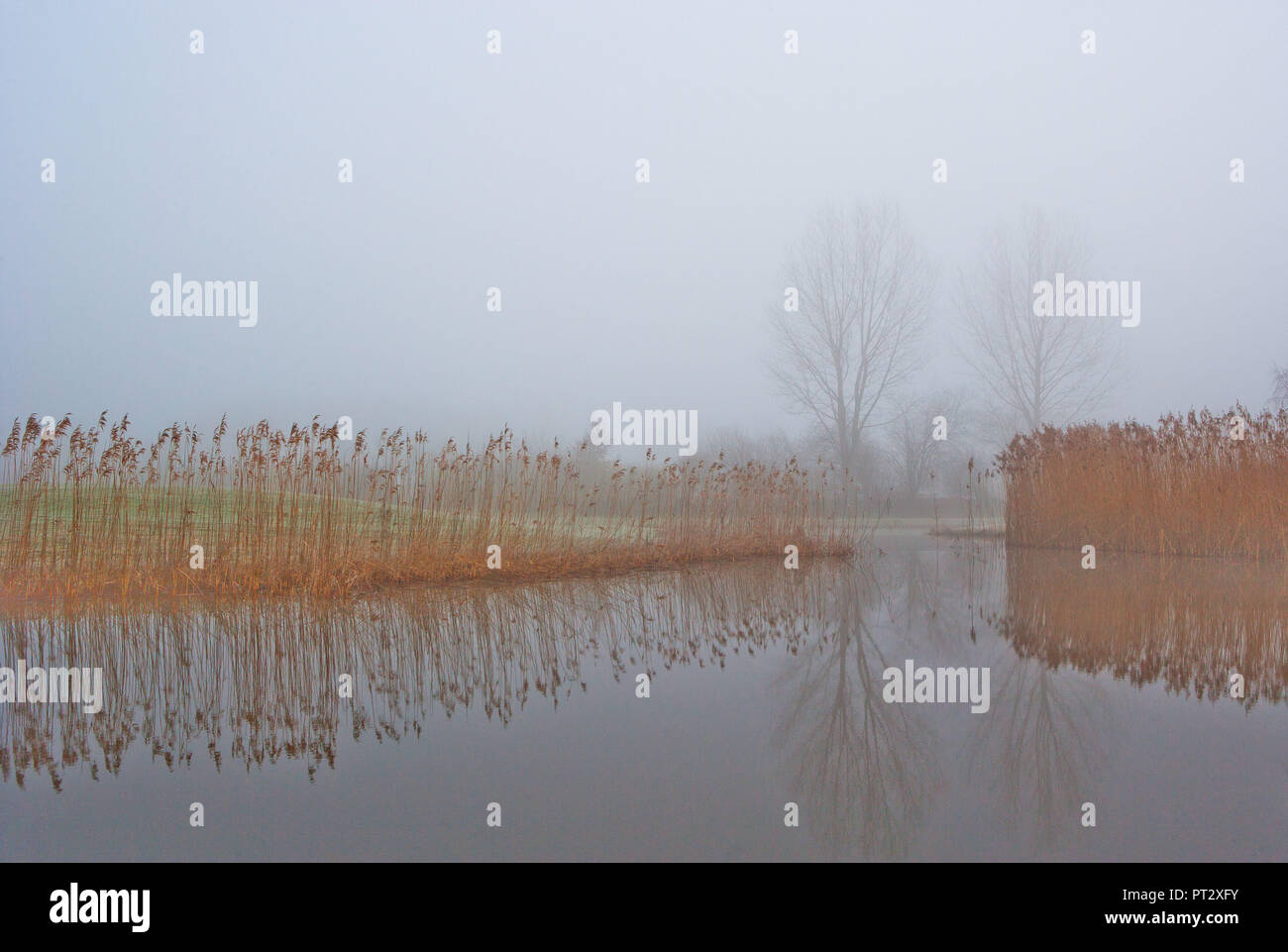 Austria, Upper Austria, Salzkammergut, Mondsee, morning mist Stock Photo
