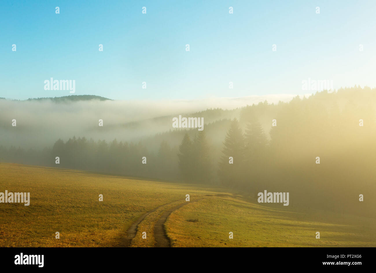 Austria, Upper Austria, Salzkammergut, Mondsee, landscape in the morning mist Stock Photo