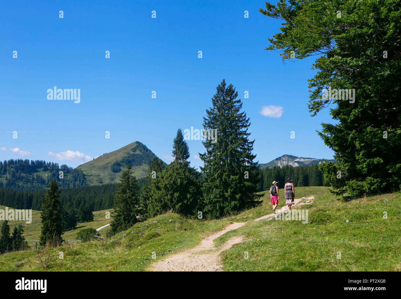 Austria, Salzburg State, Salzkammergut, Postalm, hiker Stock Photo
