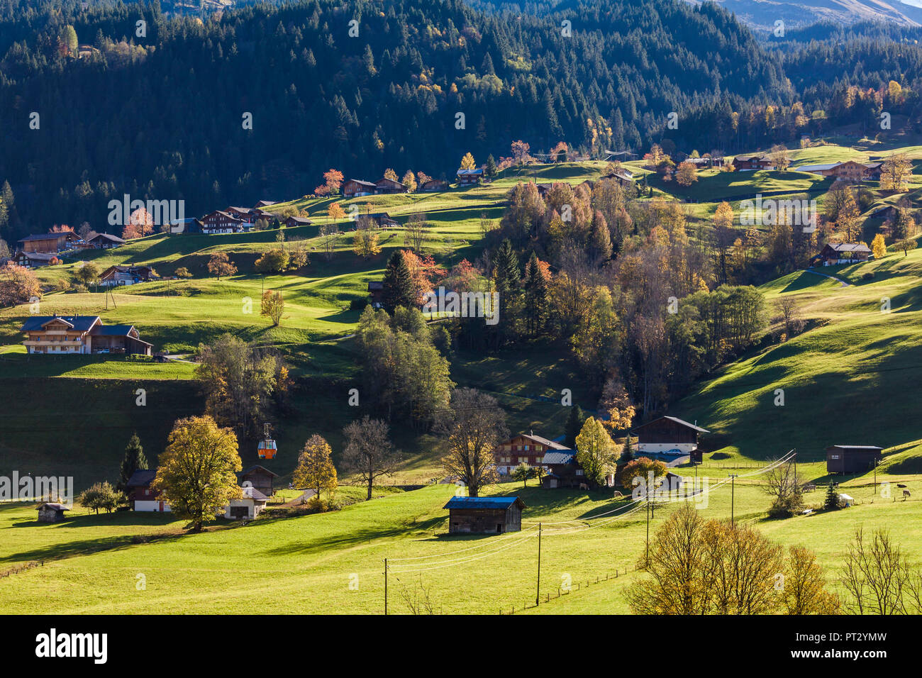 Switzerland, Canton Bern, Bernese Oberland, Grindelwald, chalets, gondola lift, mountain railway Stock Photo