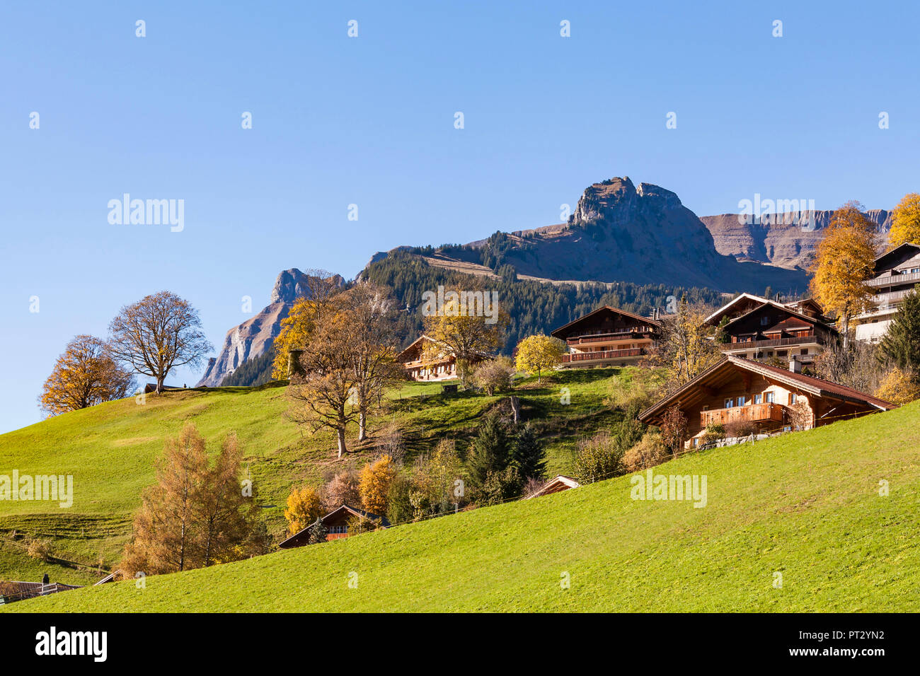 Switzerland, Canton Bern, Bernese Oberland, Grindelwald, chalets, cottages, autumn Stock Photo