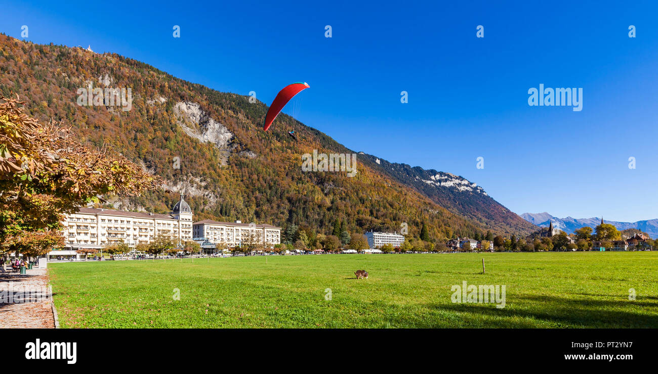 Switzerland, Canton Bern, Bernese Oberland, Interlaken, Höhematte, Park, Paraglider, Paraglider over landing site, Victoria-Jungfrau Grand Hotel & Spa Stock Photo