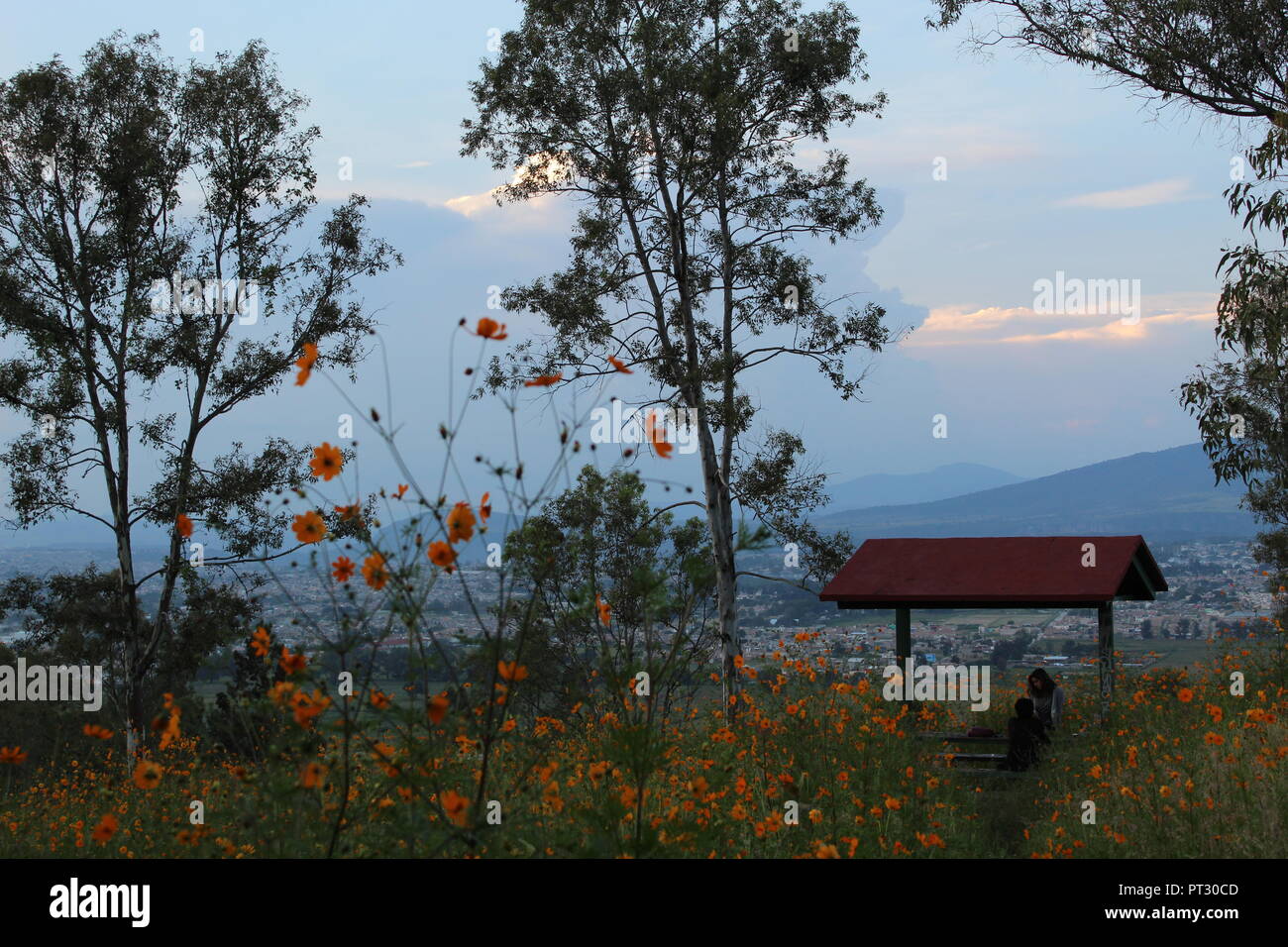 foto tomada en el cerro de la reina en Tonala Jalisco Mexico en donde se aprecian flores naranjas en primer plano en segundo plano se ve una banca Stock Photo