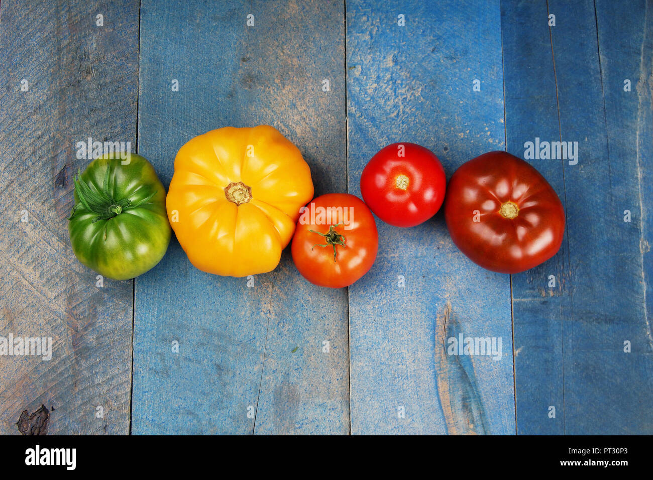 Red row ripe tomatoes hi-res stock photography and images - Alamy