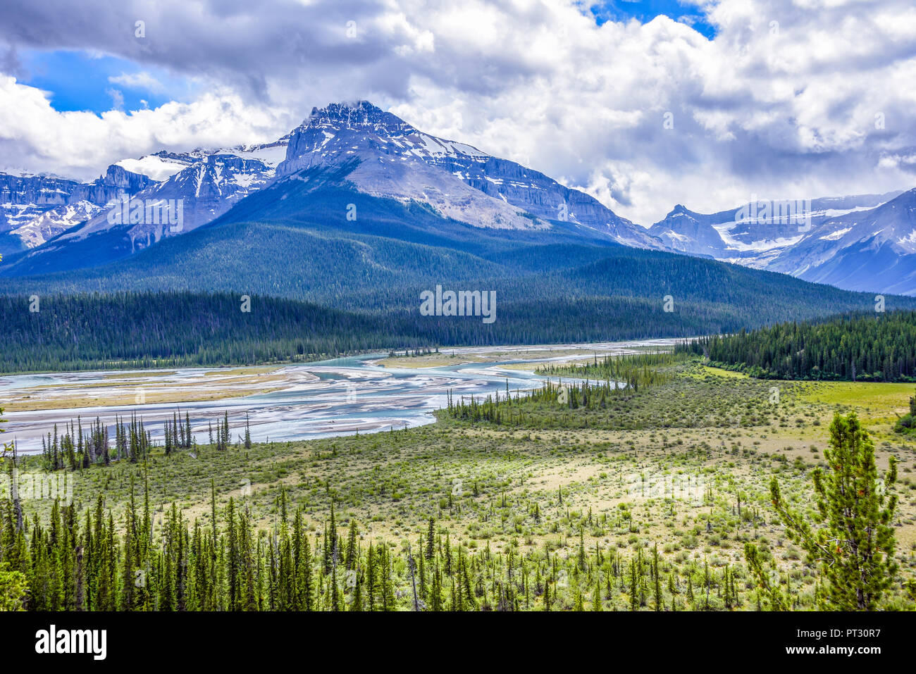 Saskatchewan Crossing River, Banff National Park, Alberta, Canada Stock Photo