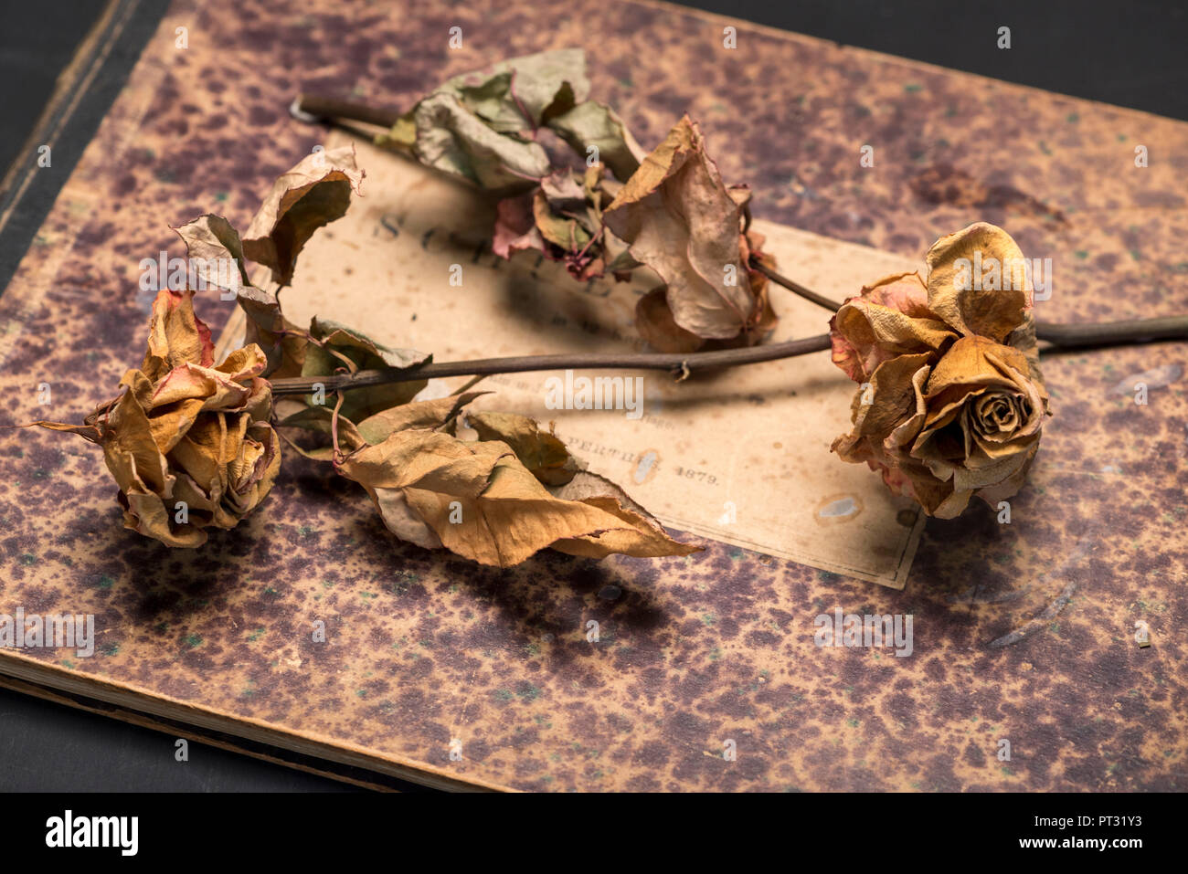 Withered roses on a book Stock Photo