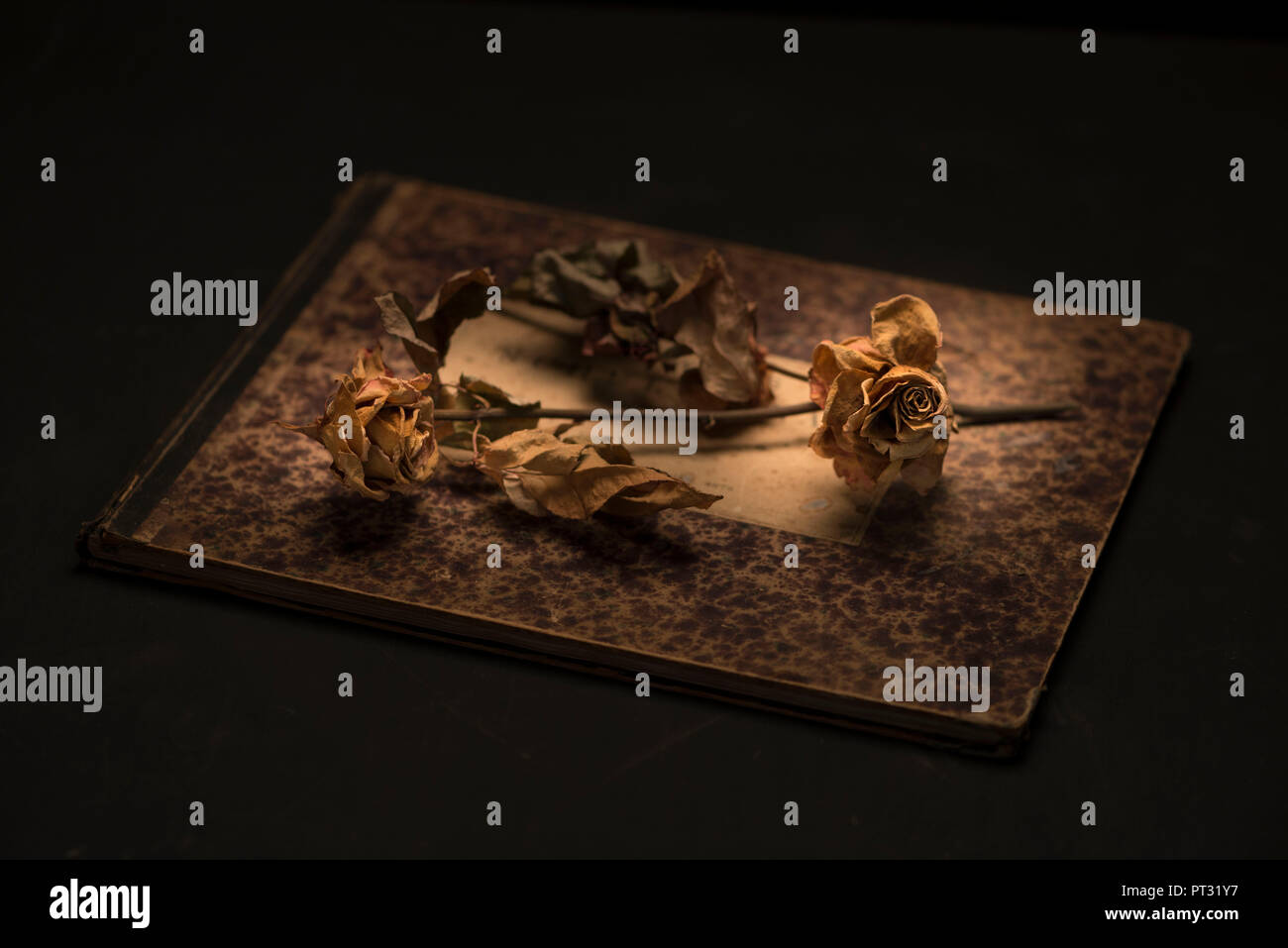 Withered roses on a book Stock Photo