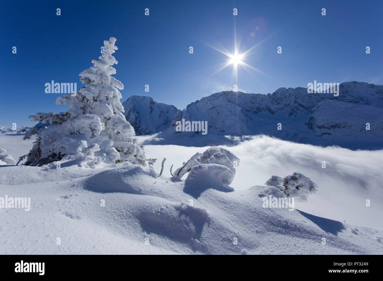 View of Mieming Range from Issentalkopf Peak in winter, Mieminger Mountains, Tyrol, Austria Stock Photo