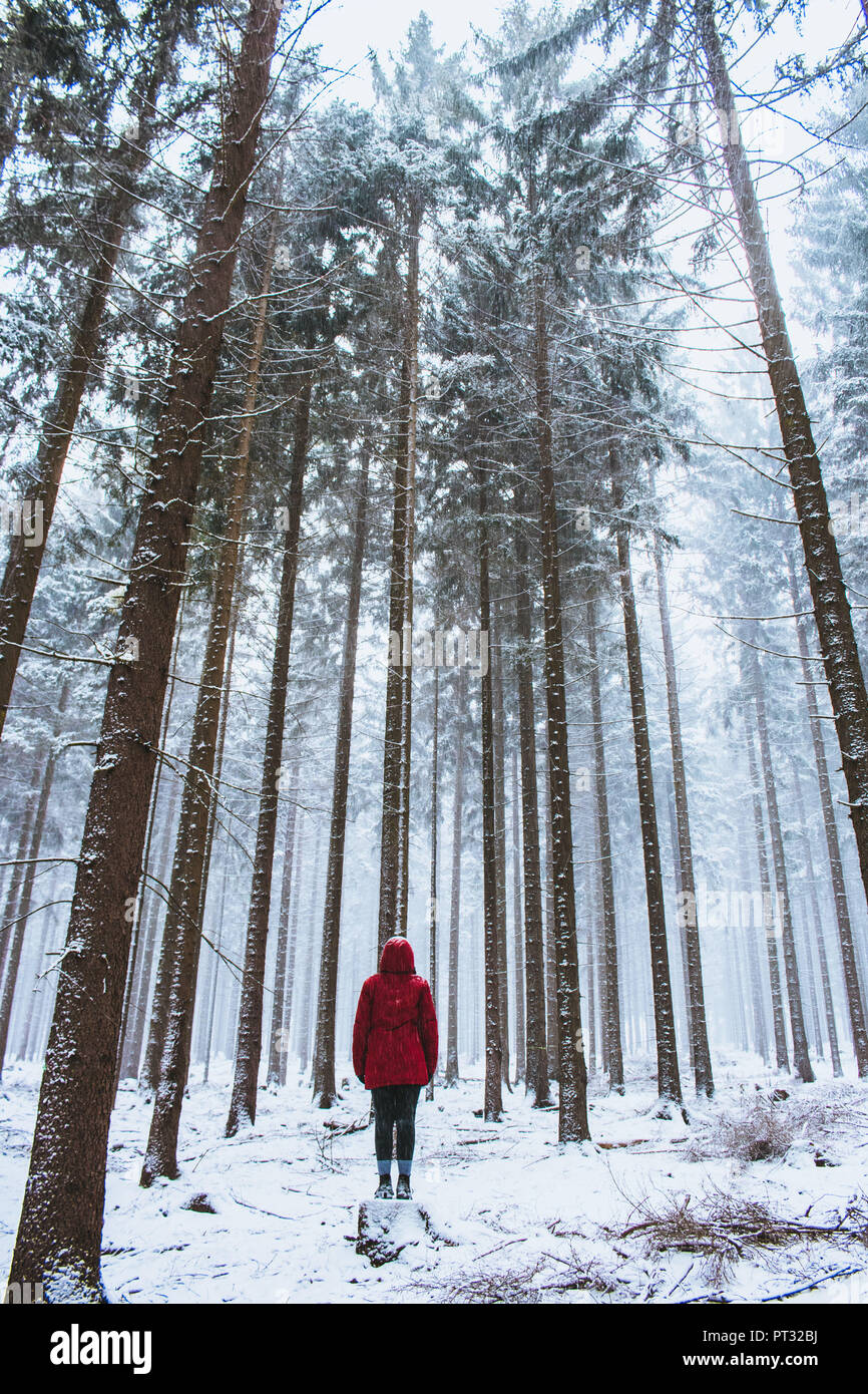 Germany, Thuringia, Thuringian Forest, Saalfelder Höhe, winter walk Stock Photo