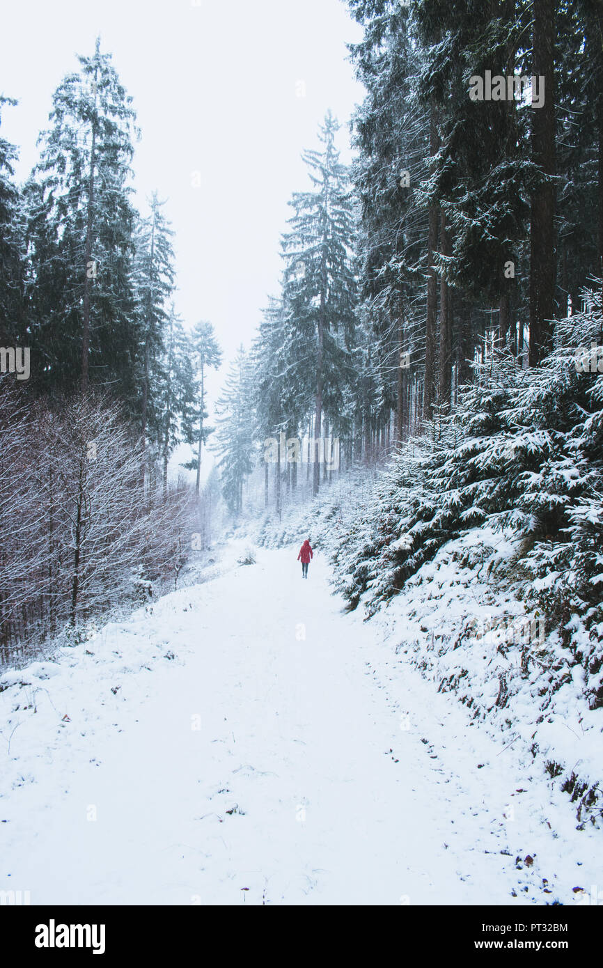 Germany, Thuringia, Thuringian Forest, Saalfelder Höhe, winter walk Stock Photo