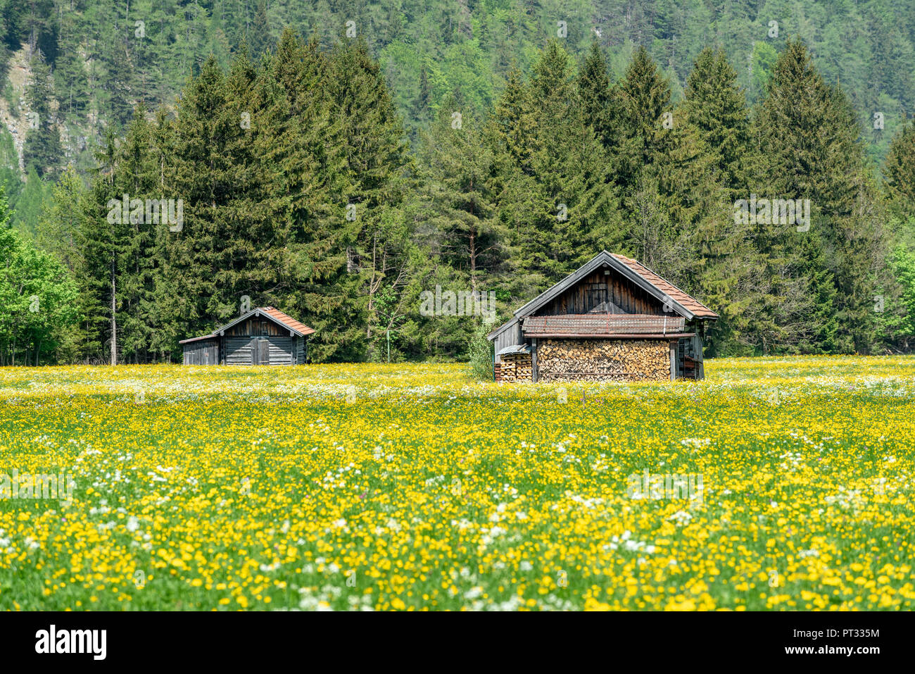 Mittenwald, district of Garmisch-Partenkirchen, Upper Bavaria, Germany, Europe, Stock Photo