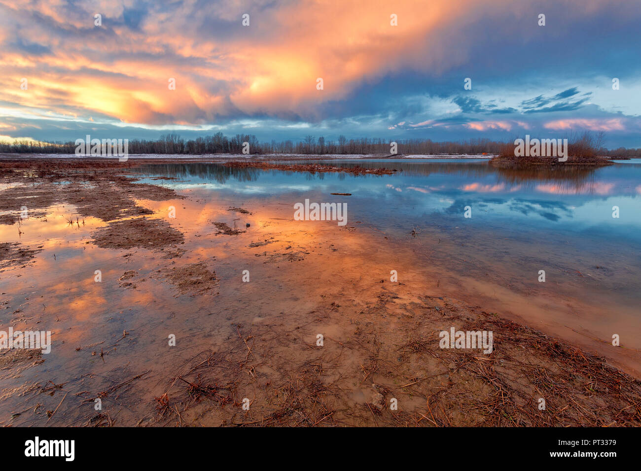 Po river park, Alessandria province, Piedmont, Italy, Europe, Stock Photo