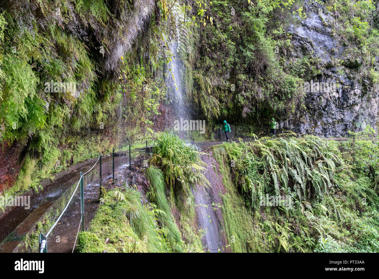 Two hikers walking towards a waterfall in Levada do Rei walk, Sao Jorge, Santana municipality, Madeira region, Portugal, Stock Photo