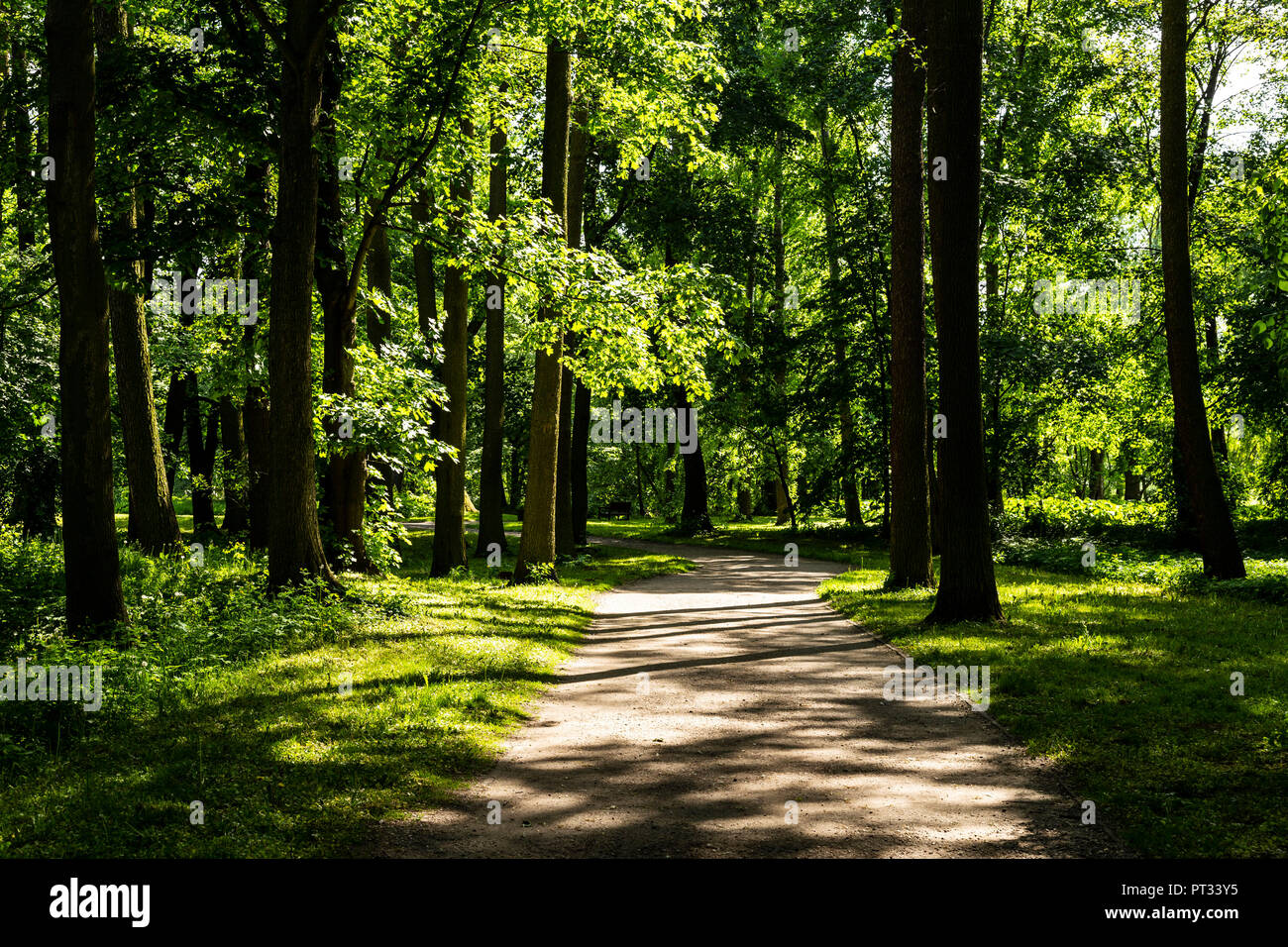 Europe, Poland, Voivodeship Lodz, Arkadia park Stock Photo