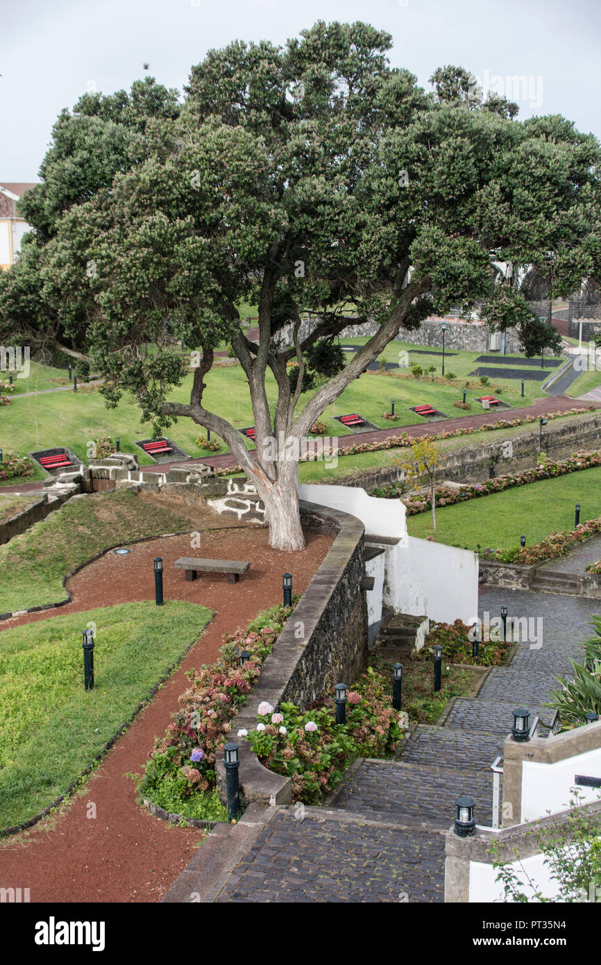 Park in Ribeira Grande on Azores island São Miguel Stock Photo