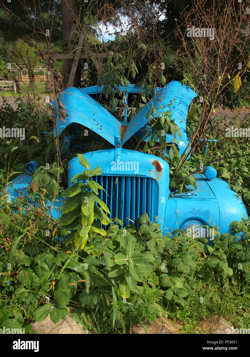 Old blue Mack truck rusting away along side a road in Lincoln park, NJ. Stock Photo