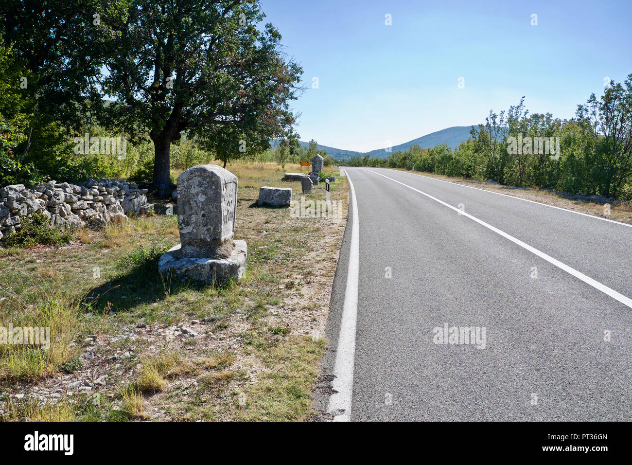 Stećci, ancient megalithic tombstones Stock Photo