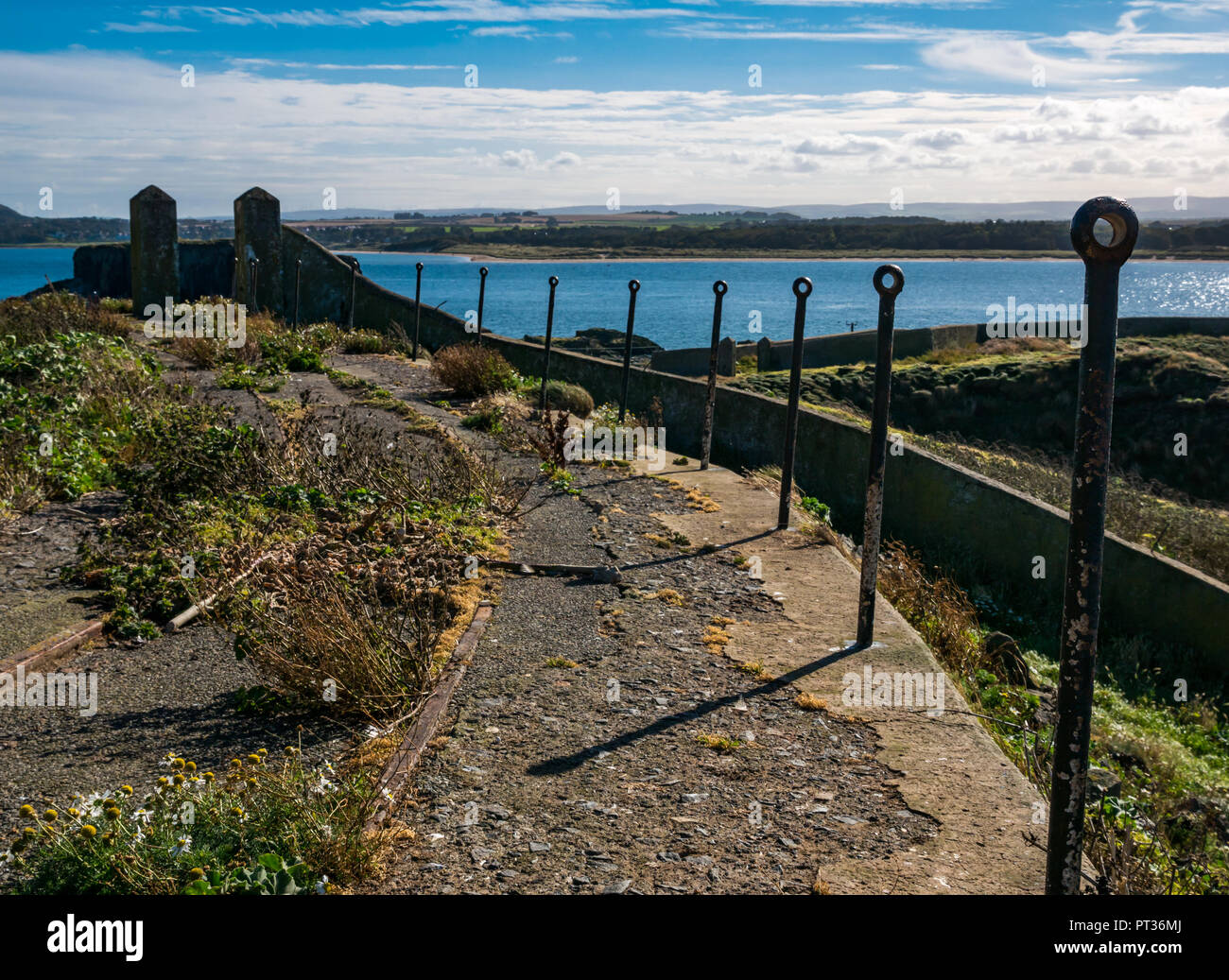 Overgrown rails and walkway, Fidra Island, Firth of Forth, Scotland, UK Stock Photo