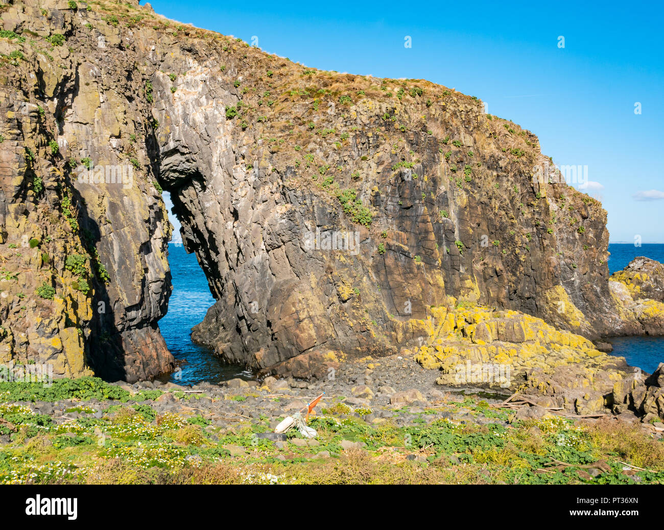Natural sea hole named Lady's veil, Fidra Island, Firth of Forth, East Lothian, Scotland, UK Stock Photo